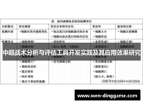 中超战术分析与评估工具开发实践及其应用效果研究