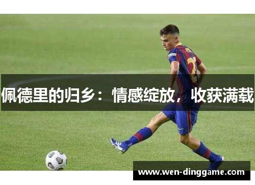 佩德里的归乡：情感绽放，收获满载