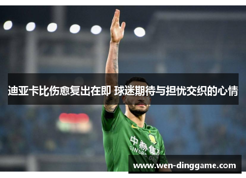 迪亚卡比伤愈复出在即 球迷期待与担忧交织的心情