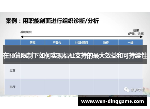 在预算限制下如何实现福祉支持的最大效益和可持续性